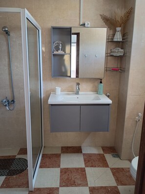 Douche, sèche-cheveux, serviettes fournies, papier toilette