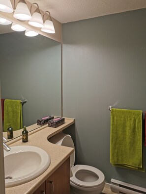 Assecador de cabells, tovalloles, sabó i paper higiènic 