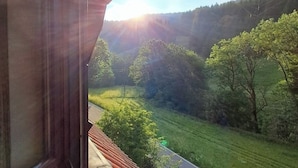 Vista desde una ventana sobre un valle verde con árboles y una carretera.