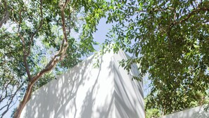 Un bâtiment moderne doté d’un mur en pierre, de portes en bois et d’une entrée abritée.