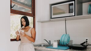 Une cuisine avec une fenêtre, un four à micro-ondes et un égouttoir à vaisselle.