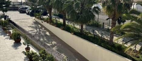 A rooftop terrace with potted plants, a paved walkway, and a view of the cityscape including buildings and palm trees.