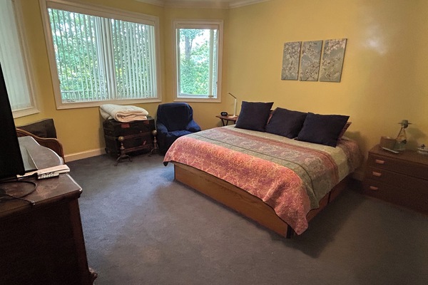 King bed with TV