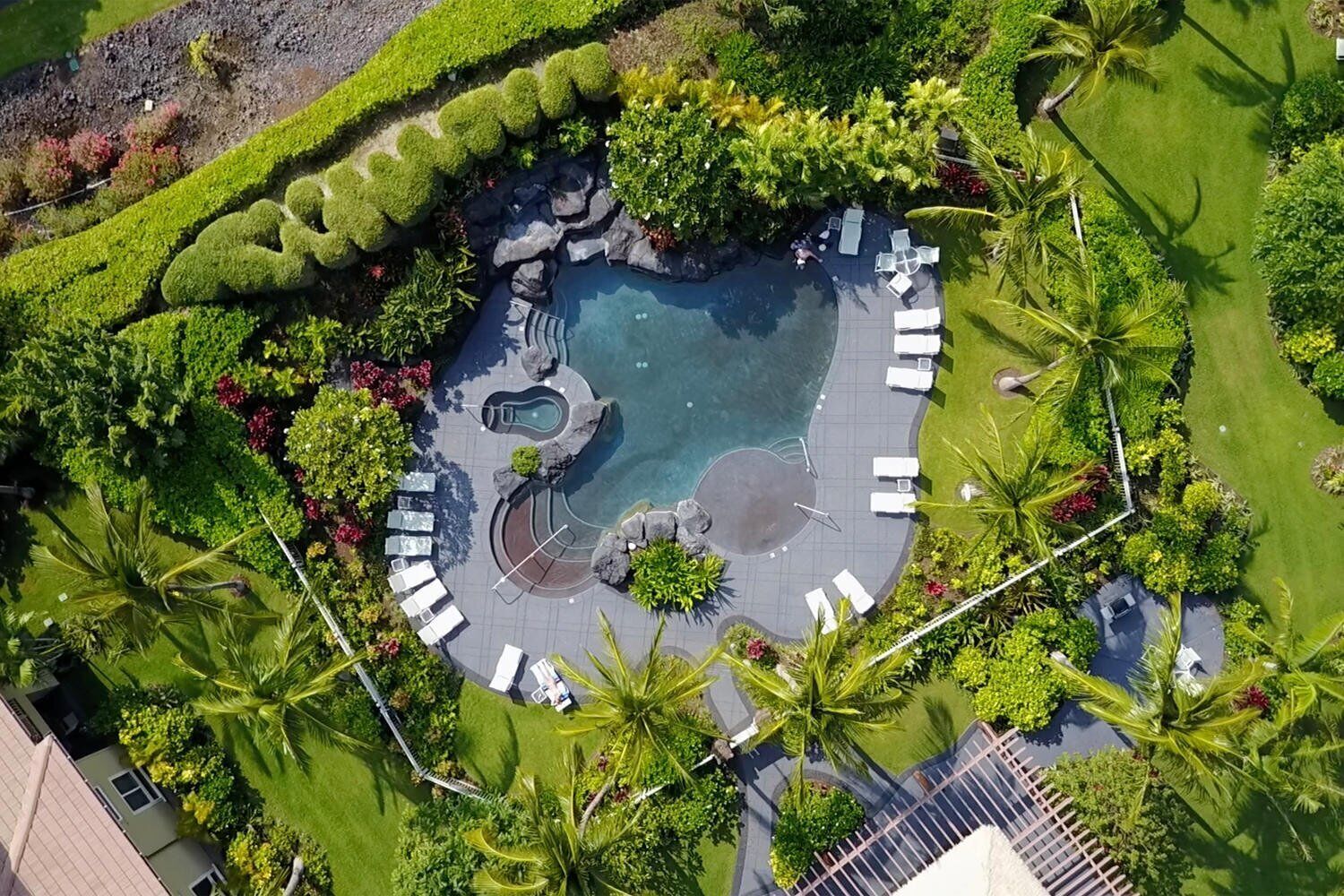 Ein Luftbild eines Resorts mit einem kreisförmigen Pool, der von Liegestühlen und Palmen umgeben ist.