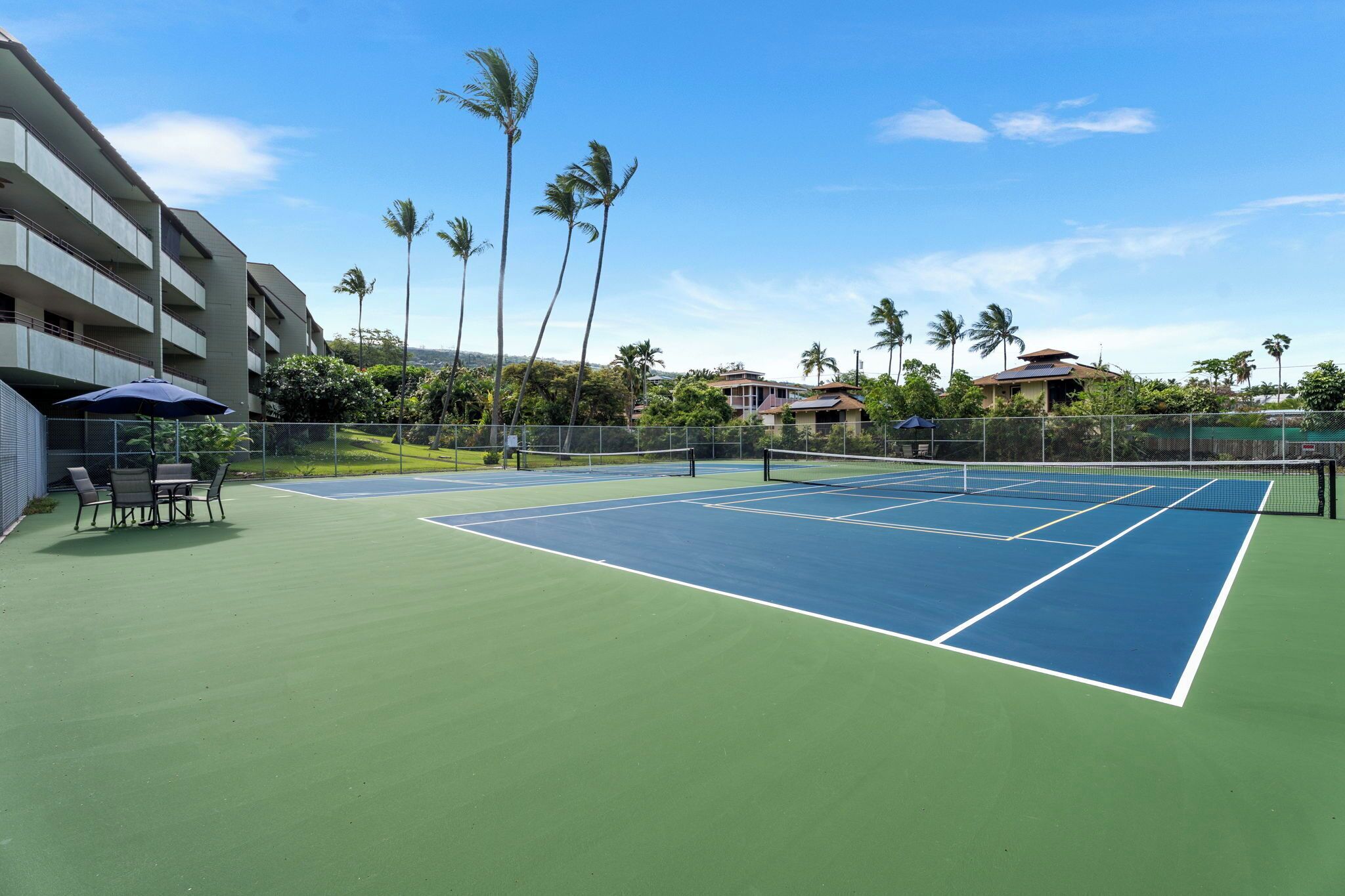 A tennis court with a net, surrounded by a fence, and palm trees in the background.