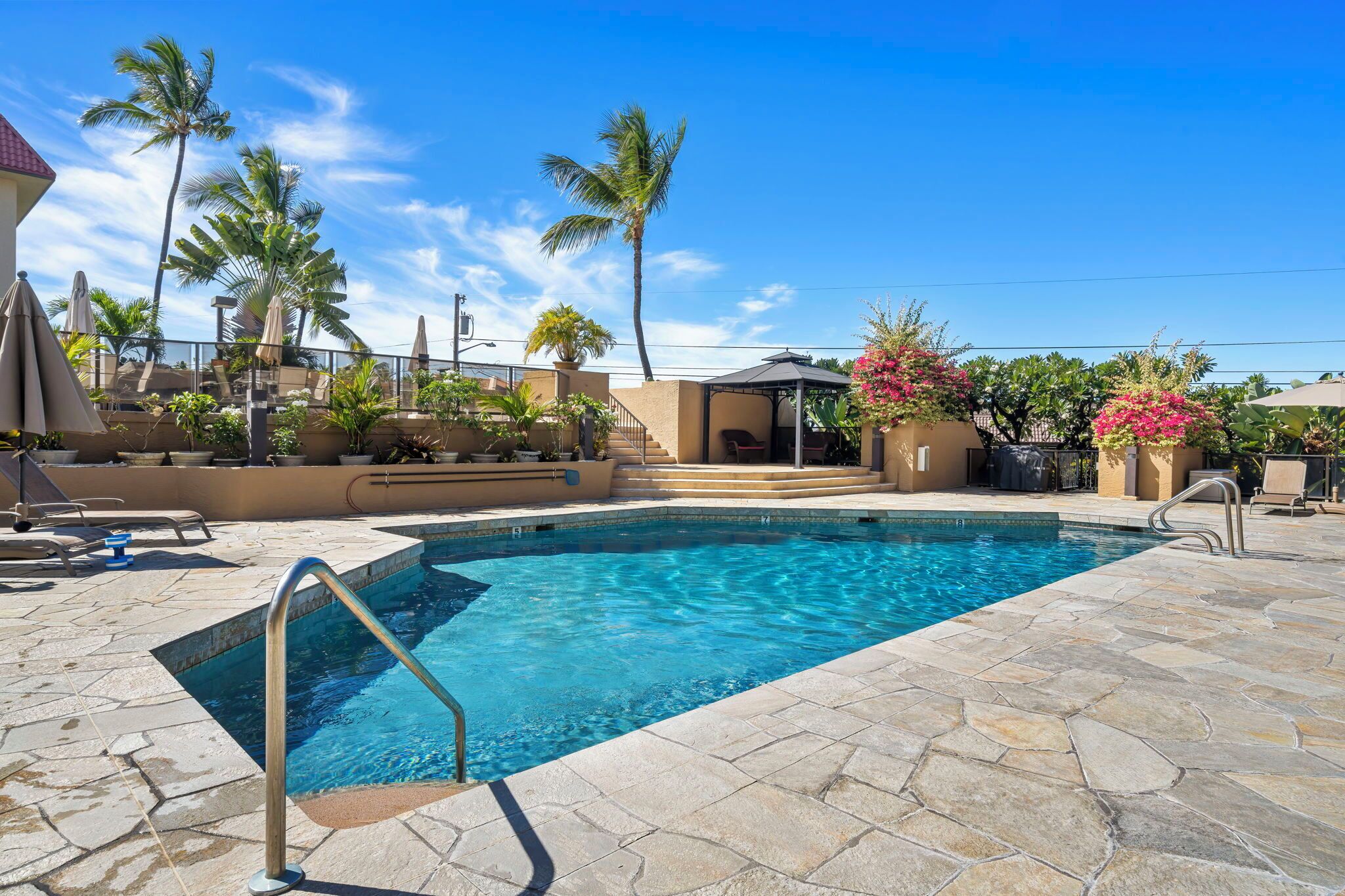 A swimming pool with a stone deck, lounge chairs, and palm trees.