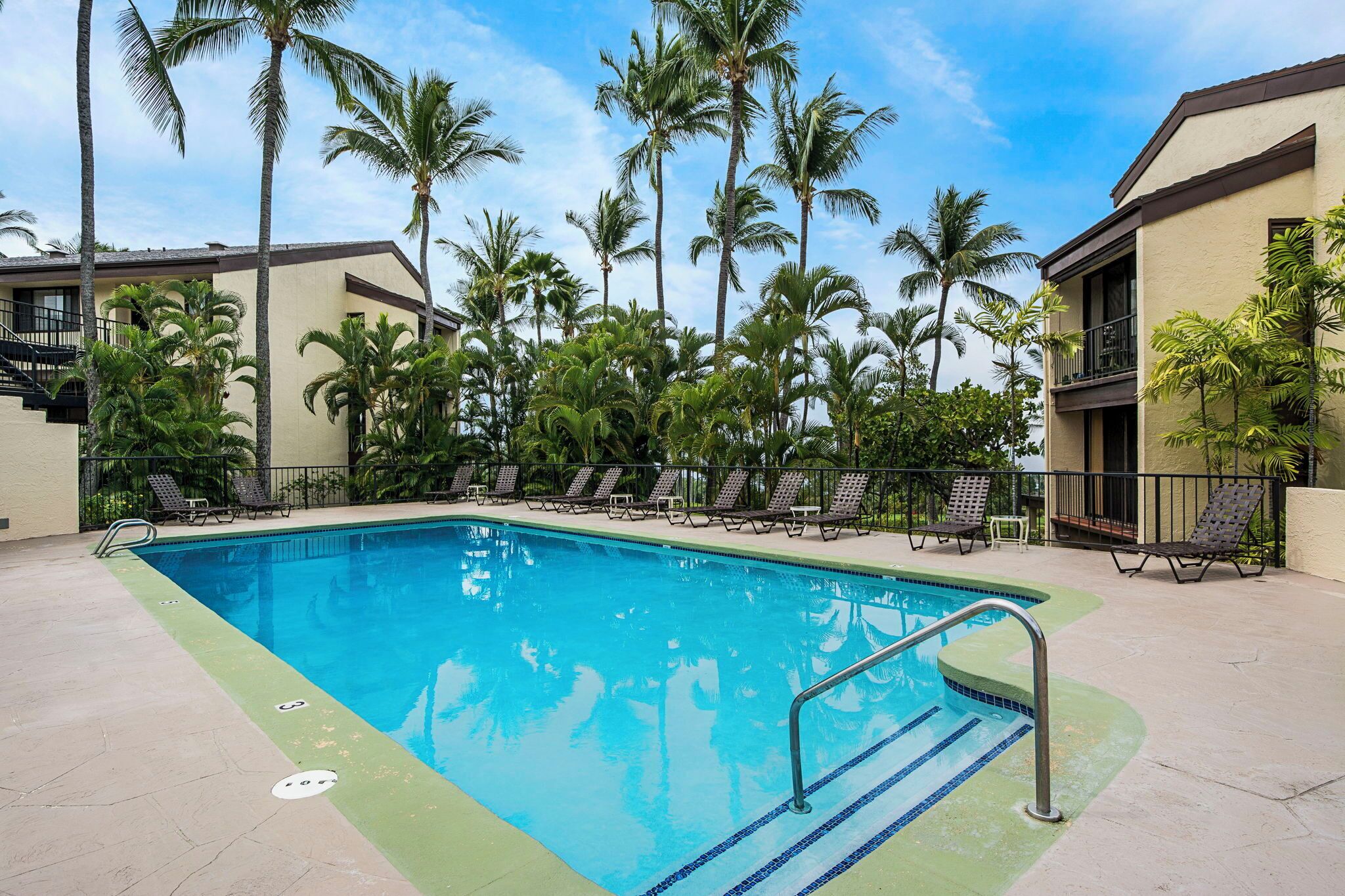 A swimming pool with lounge chairs and palm trees.