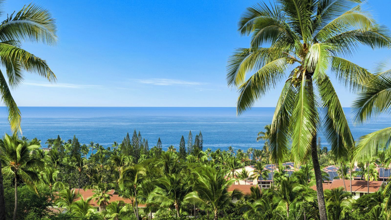 A tropical resort with palm trees, a view of the ocean, and solar panels on the rooftops.