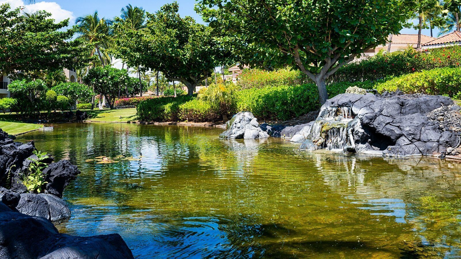 A tranquil pond with a waterfall, surrounded by lush greenery and palm trees.