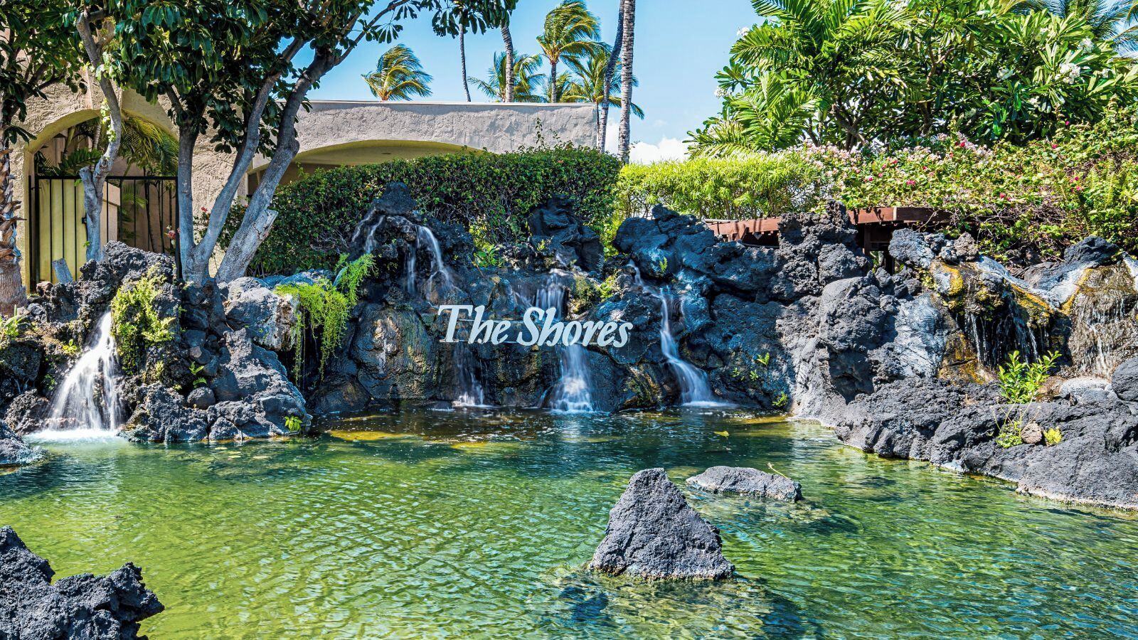 A tropical garden with a clear pond, waterfalls, and a stone bridge.