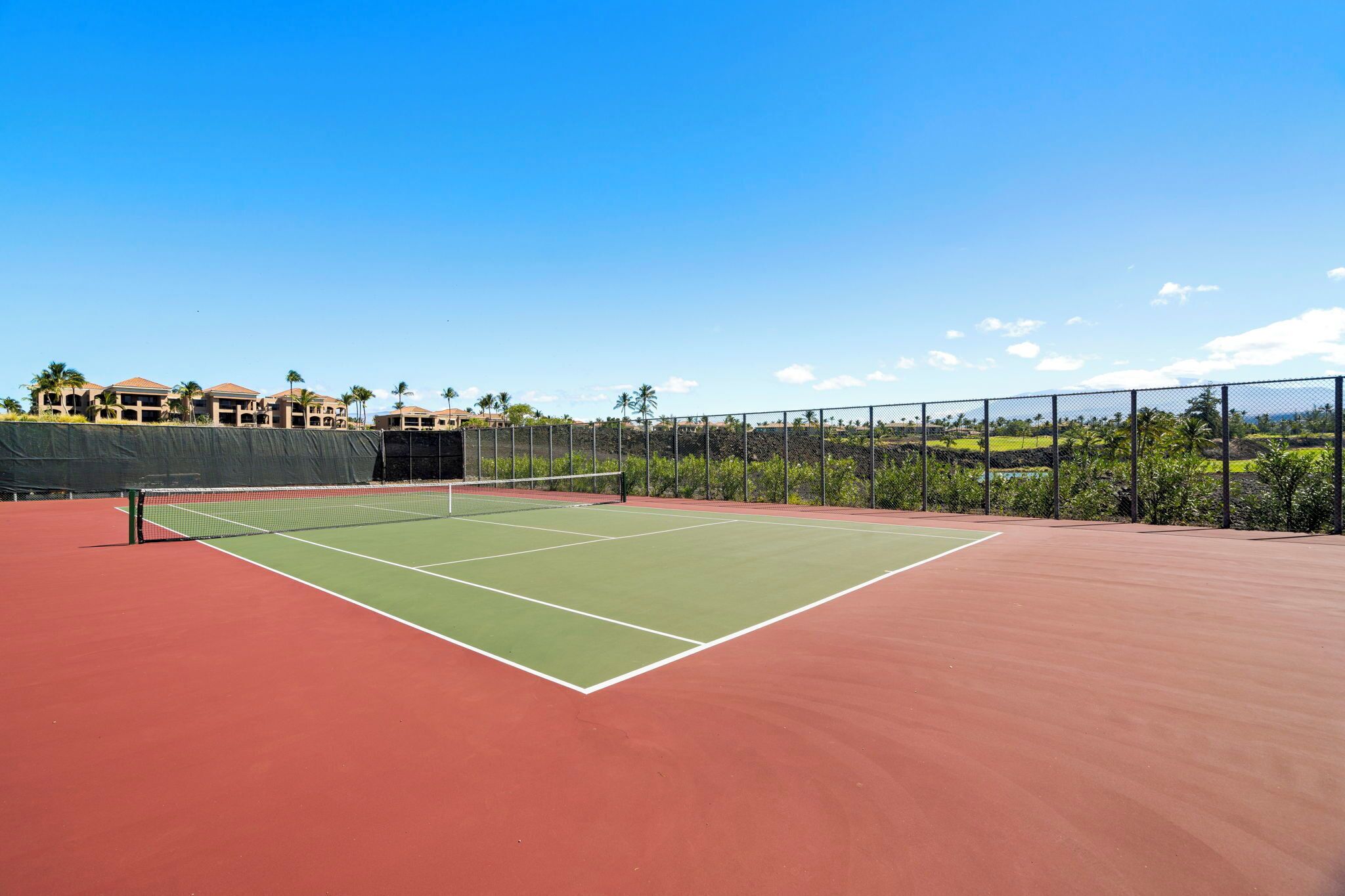 Un court de tennis avec un filet, entouré d’une clôture et de palmiers.