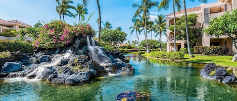 Terrain de lâhĂ©bergement