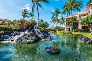 Property grounds - Relaxing Resort Living - Free Concierge - AC! - Vrkcv (Waikoloa)