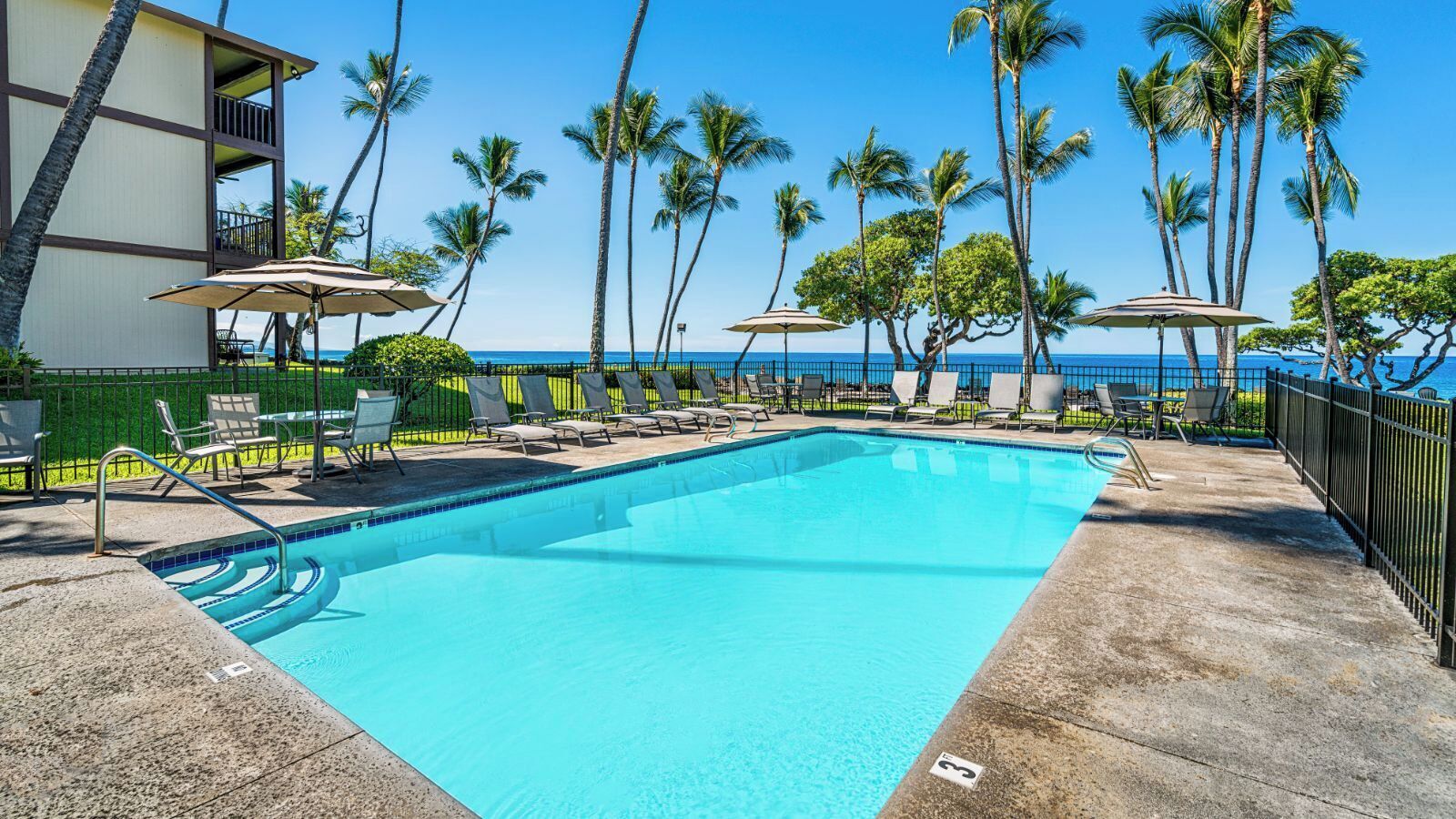 A swimming pool with lounge chairs and umbrellas, surrounded by palm trees and a view of the ocean.