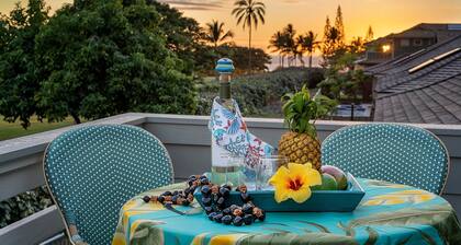 Private Plunge Pool - Central AC - Vrkcv