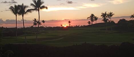 A golf course at sunset with palm trees and a clear sky.