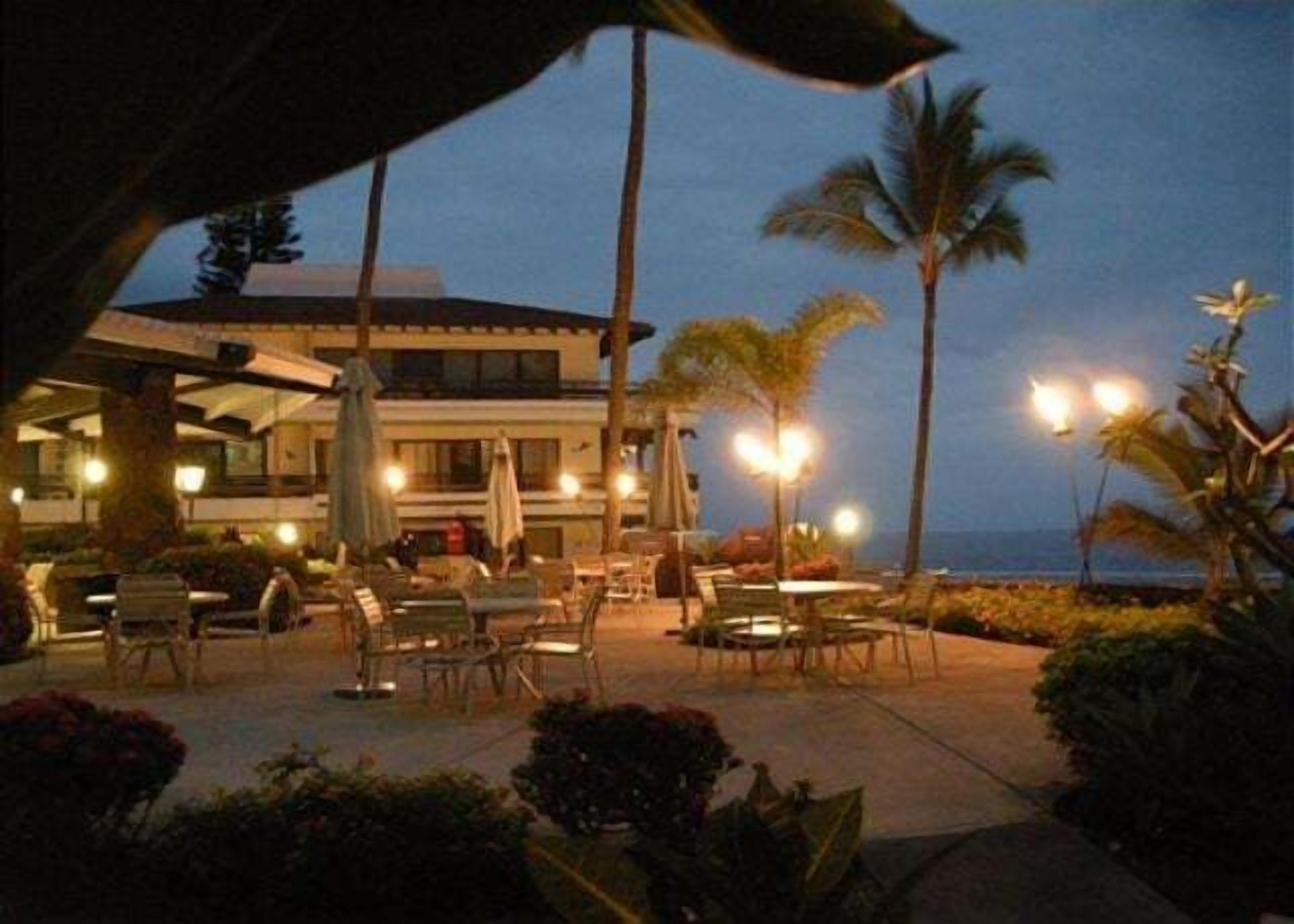 An outdoor seating area with tables and chairs, palm trees, and a building in the background.
