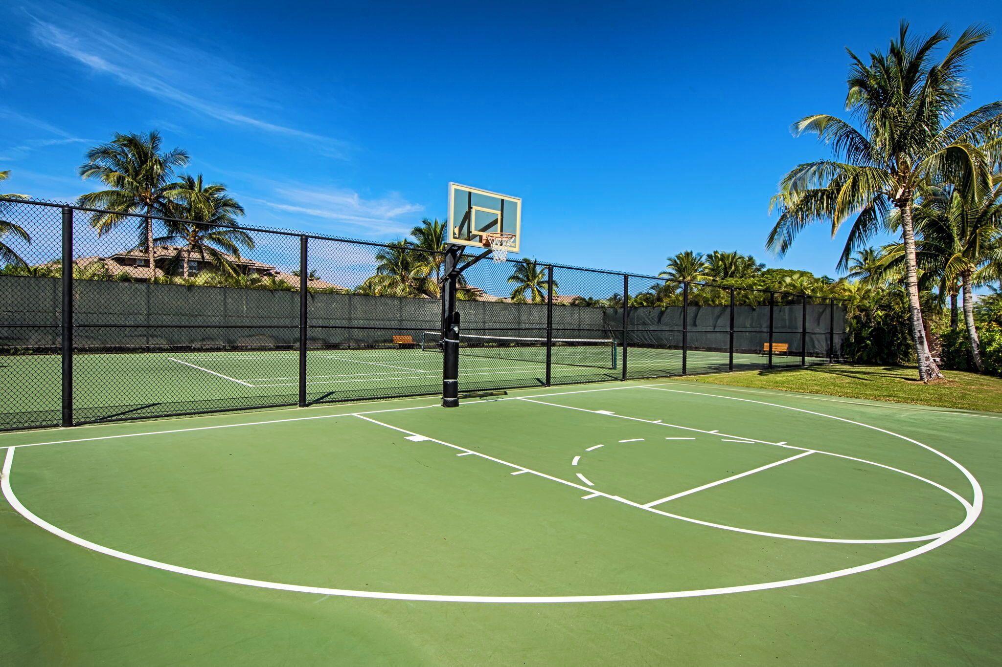An outdoor basketball court with a chain-link fence, palm trees, and a clear blue sky.
