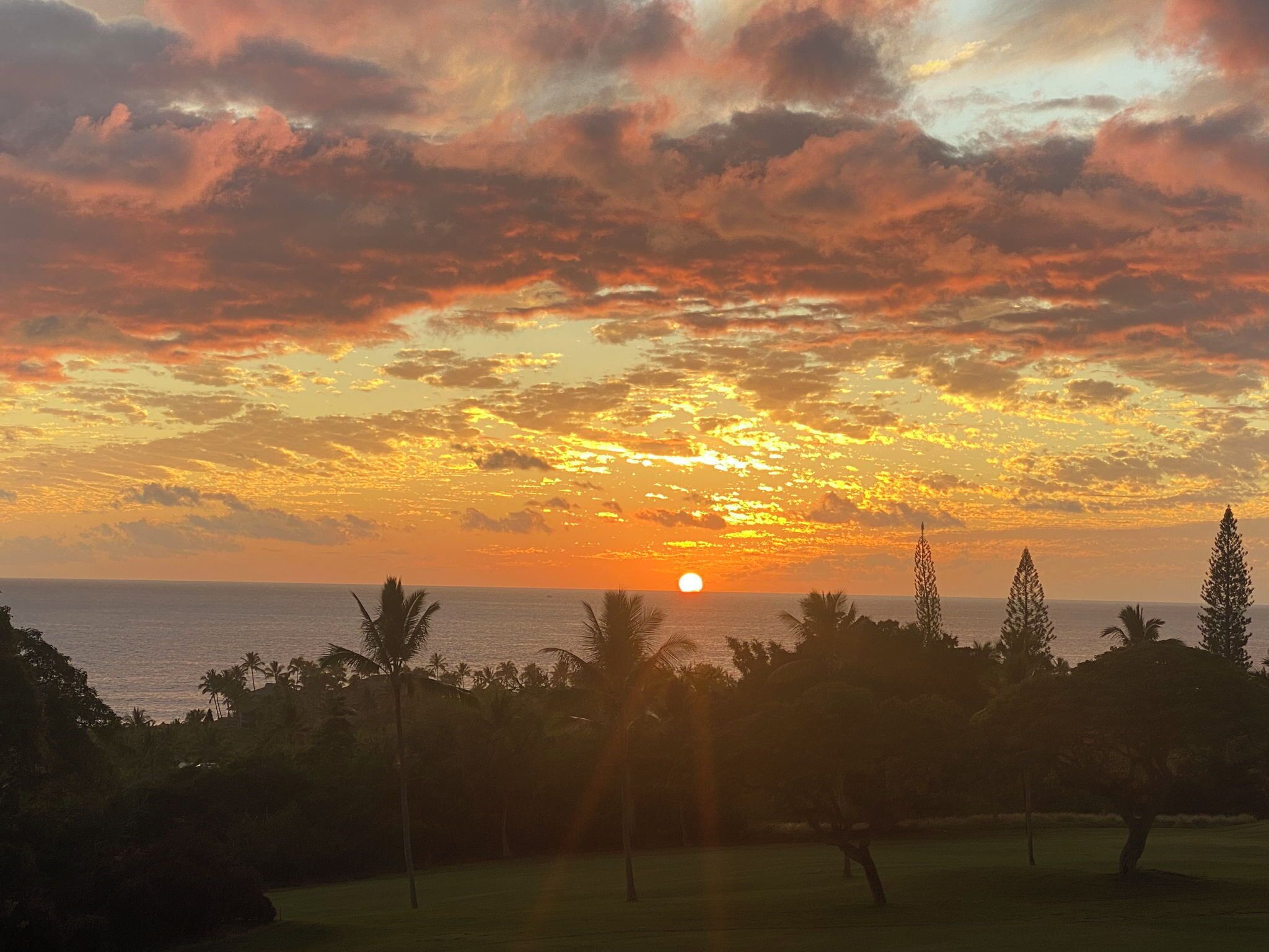 A sunset over the ocean with palm trees and a clear sky.