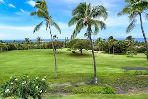 Golf - Great Ocean & Golf Views - 2 Bedrooms + Loft - Private Outdoor Patio - Vrkcv (Kailua-Kona)