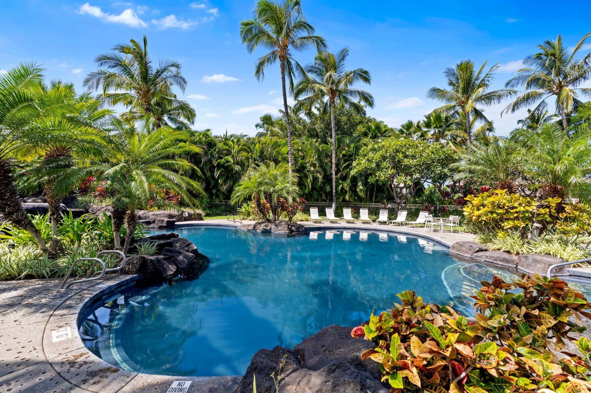 Piscina cercada por palmeiras e plantas tropicais.