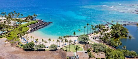 A coastal resort with a beachfront, palm trees, and a clear view of the ocean.