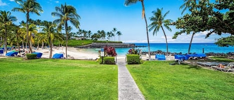 A tropical beach resort with a clear pathway leading to the beach, palm trees, and a pool area.