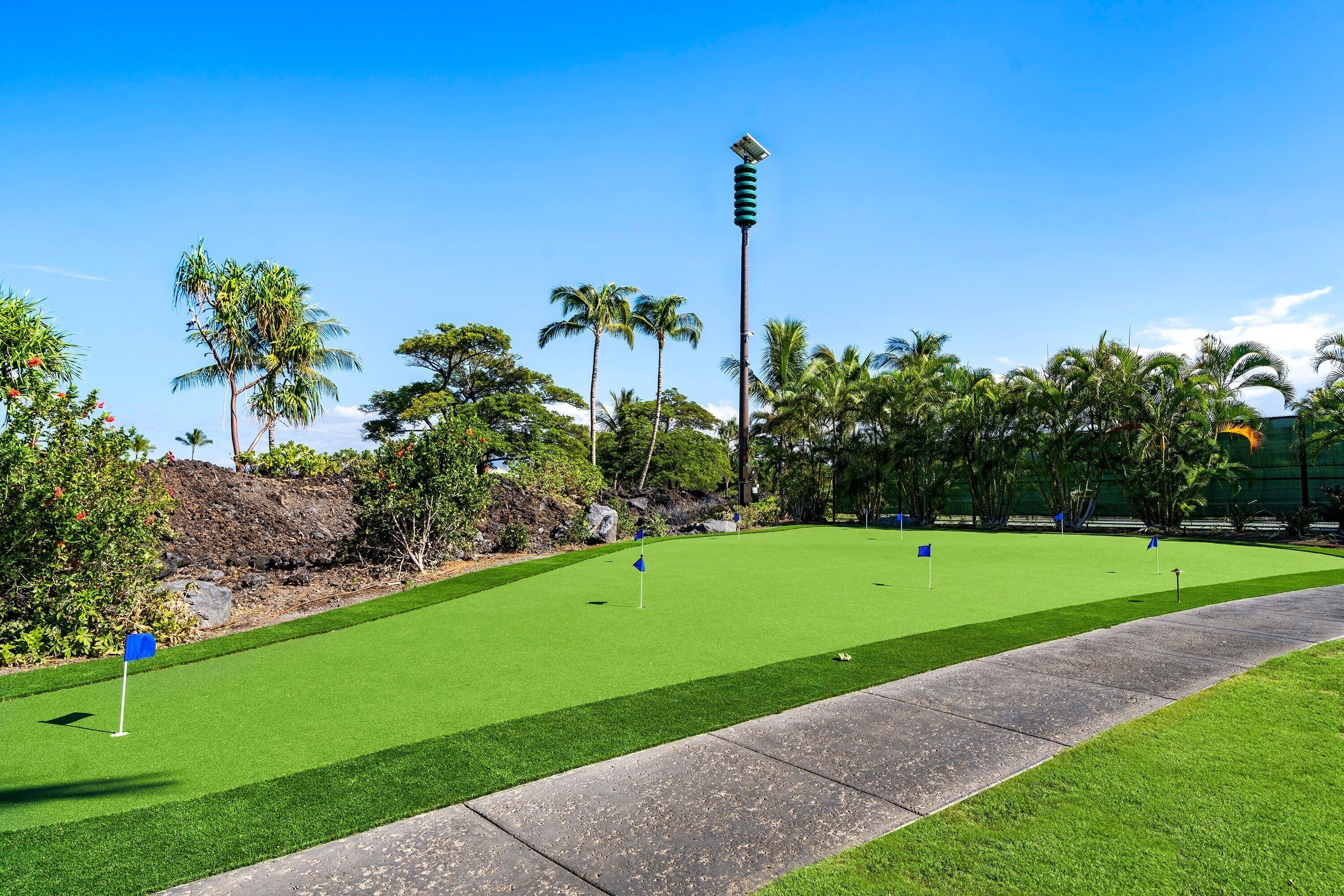 Een golfbaan met een verzorgd gazon, een betonnen pad en palmbomen op de achtergrond.