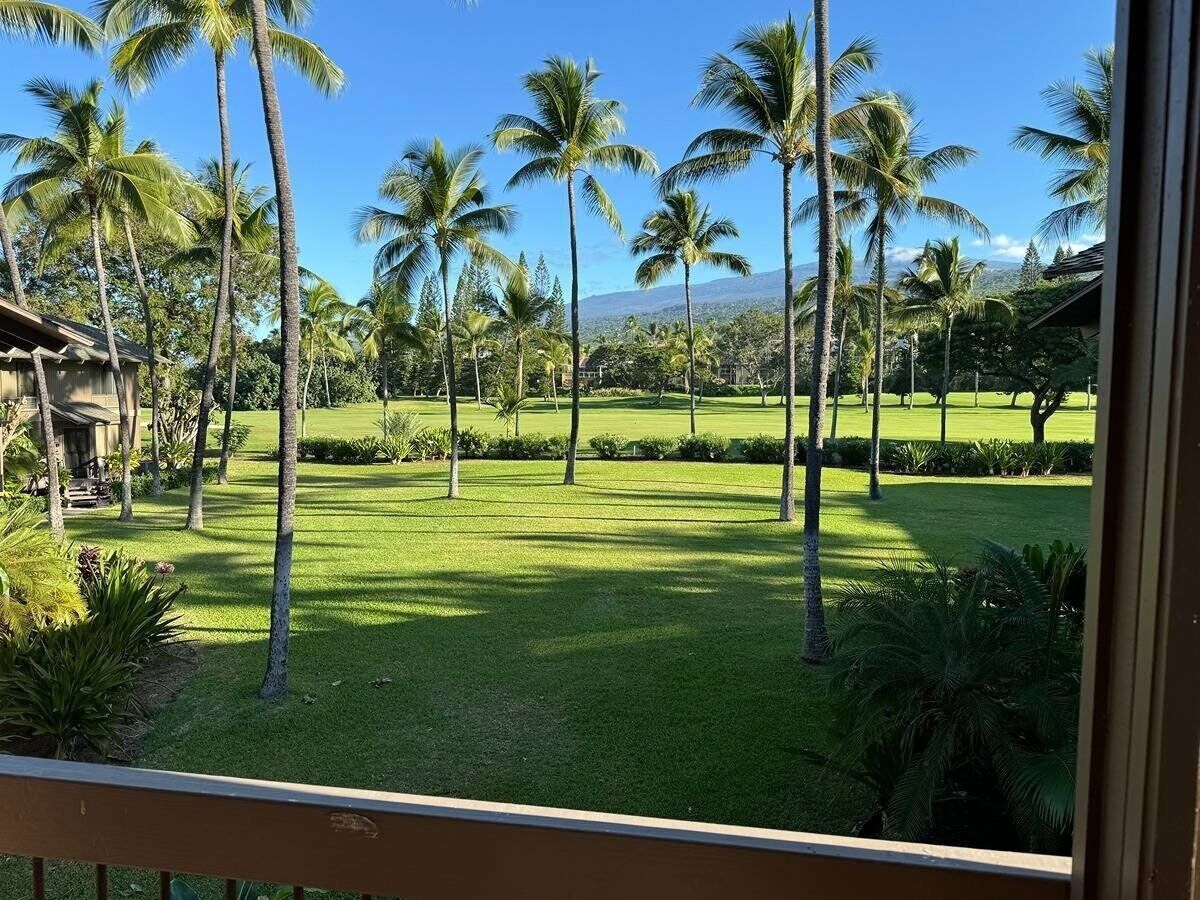 Vista de un césped cuidado con palmeras y una cadena montañosa distante.