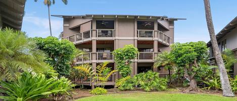 Un hotel de varios pisos con balcones, rodeado de exuberante vegetación y palmeras.