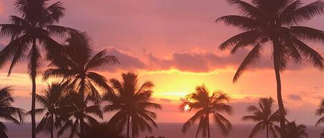 A sunset with palm trees silhouetted against a colorful sky.