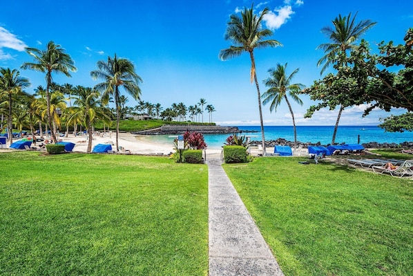 A beachside resort with a clear pathway leading to the beach, palm trees, and beach chairs.