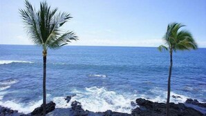 A rocky shoreline with two palm trees and the ocean in the background. - Ocean Front - Walk to Kona Town! - Vrkcv (Kailua-Kona)