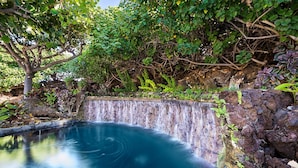 Uma piscina natural com cascata, rodeada por vegetação exuberante e pedras.