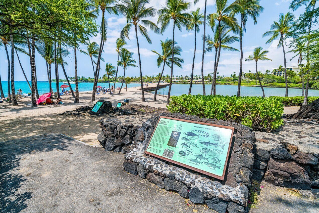 A tropical beach scene with a signboard displaying marine life.