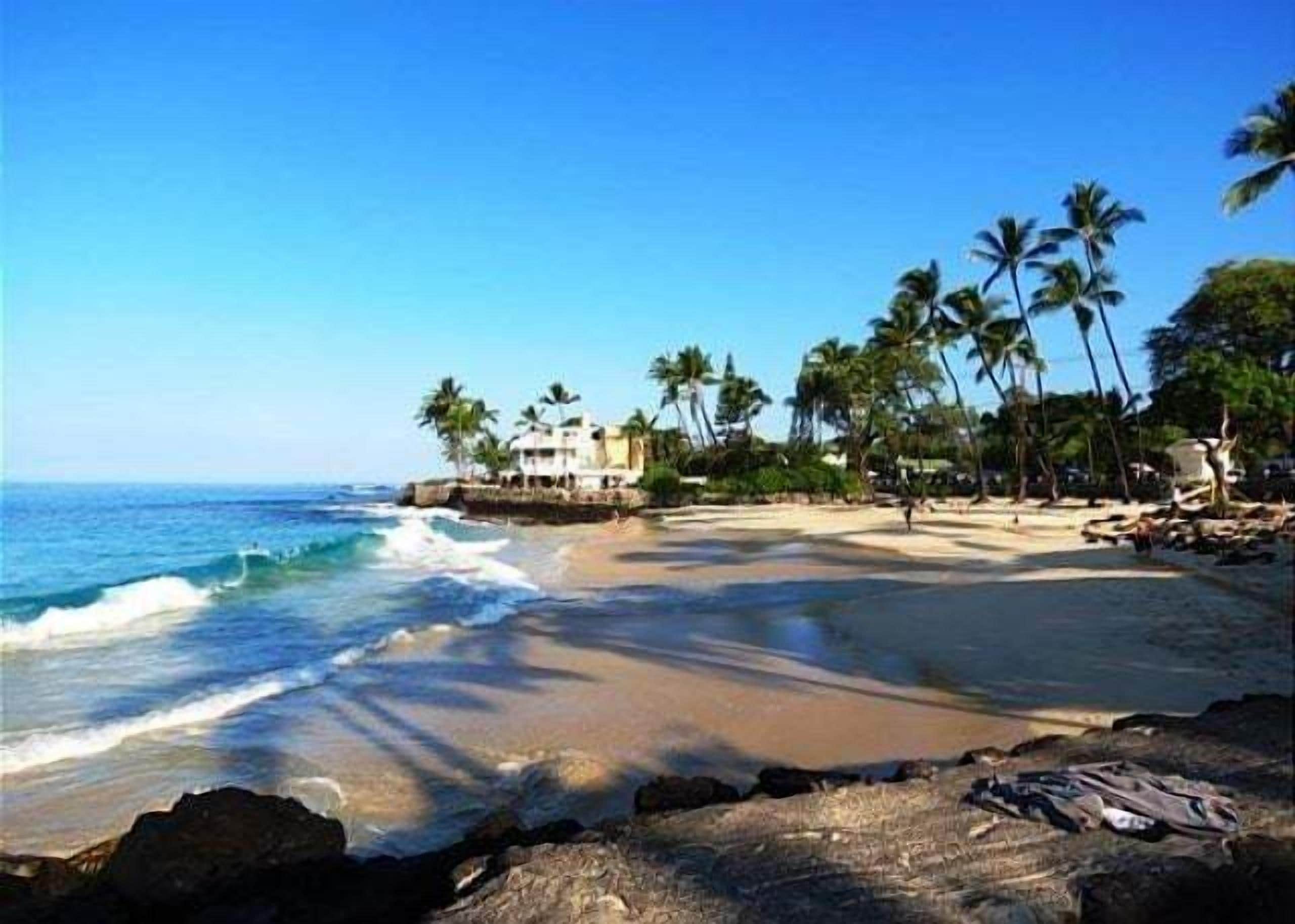 Une plage avec un bâtiment et des palmiers.