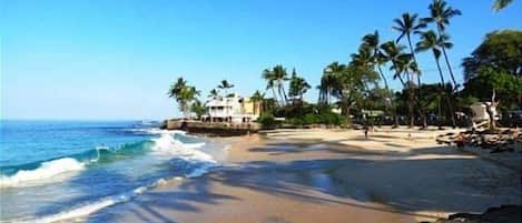 Une plage avec un bâtiment et des palmiers.