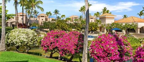A resort with palm trees, a swimming pool, and a clear sky.