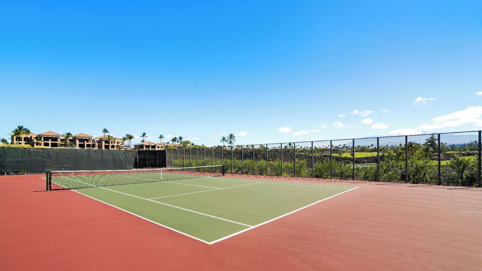 Un court de tennis avec un filet, entouré d’une clôture et de palmiers.