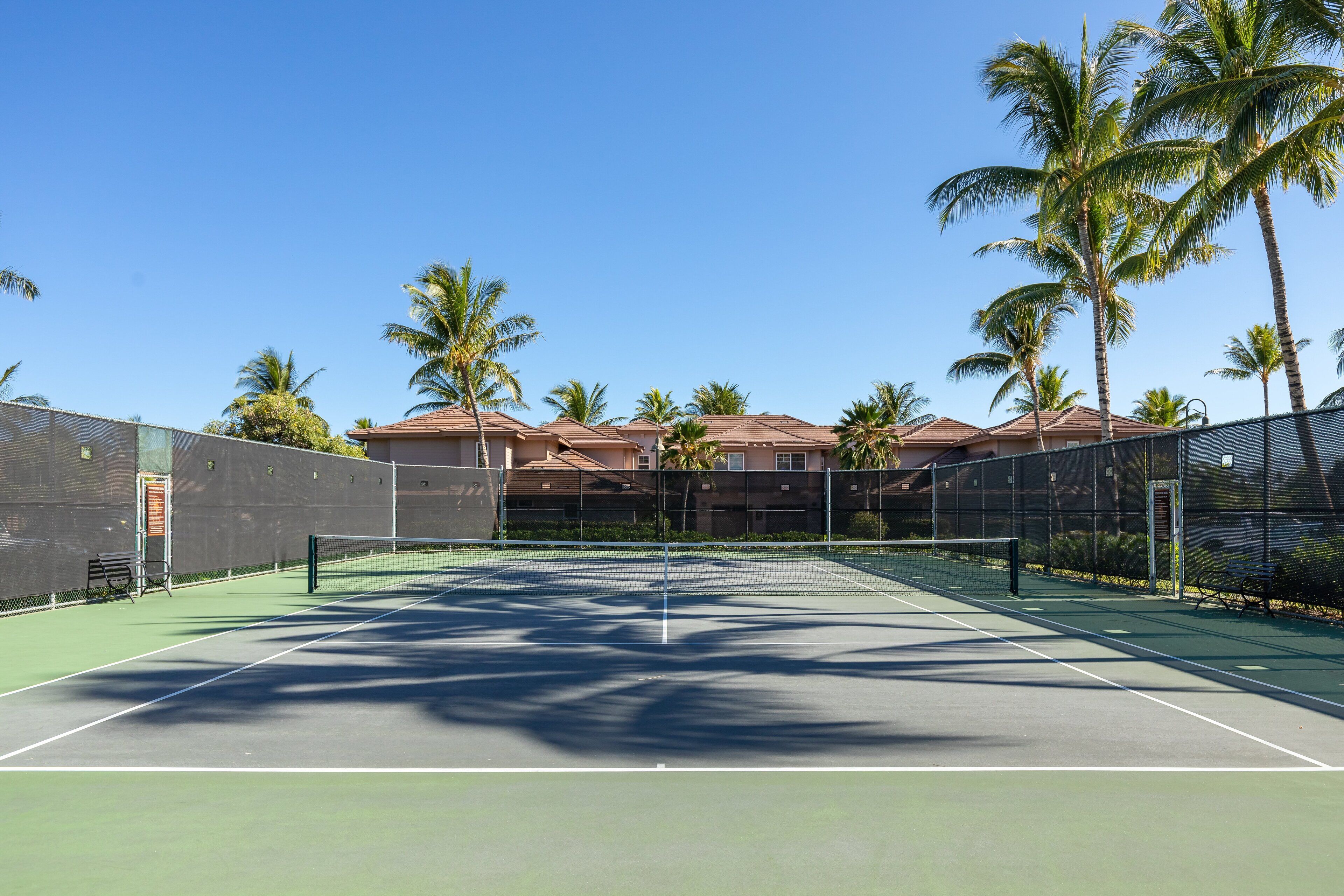 A tennis court with a net, surrounded by a fence and palm trees.