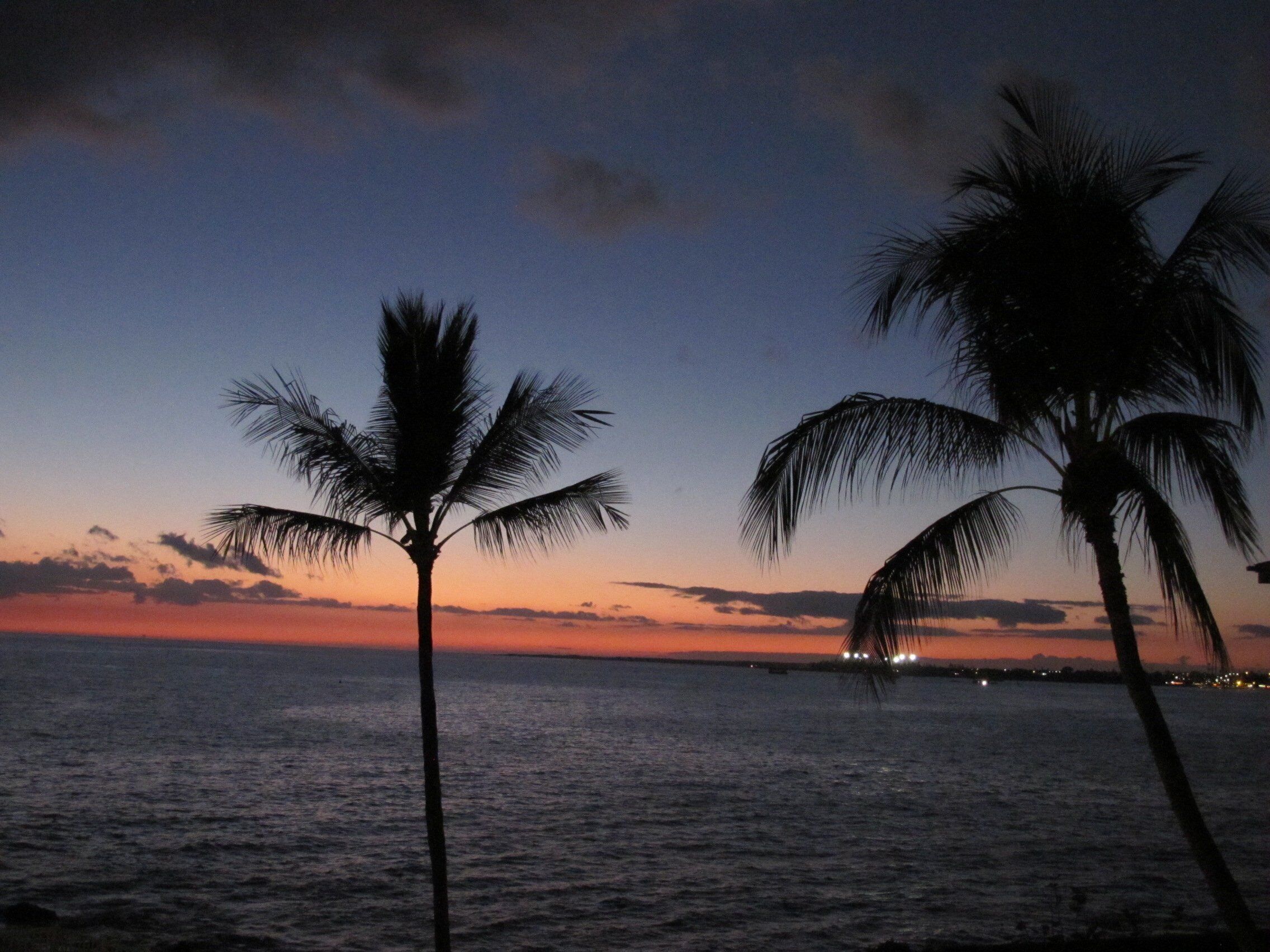 Vista al atardecer con palmeras silueteadas contra el cielo.