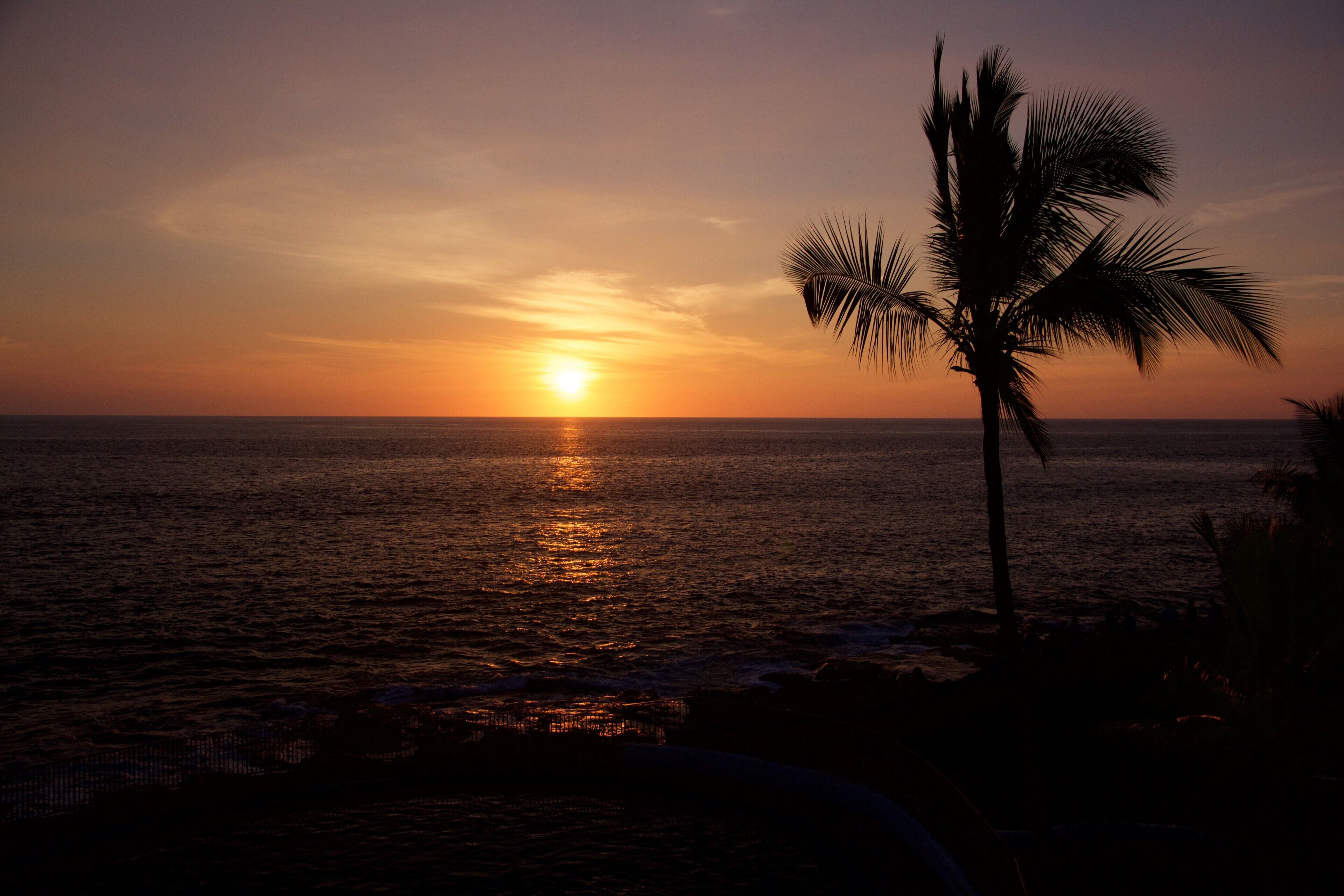 A sunset over the ocean with a palm tree silhouetted against the sky.