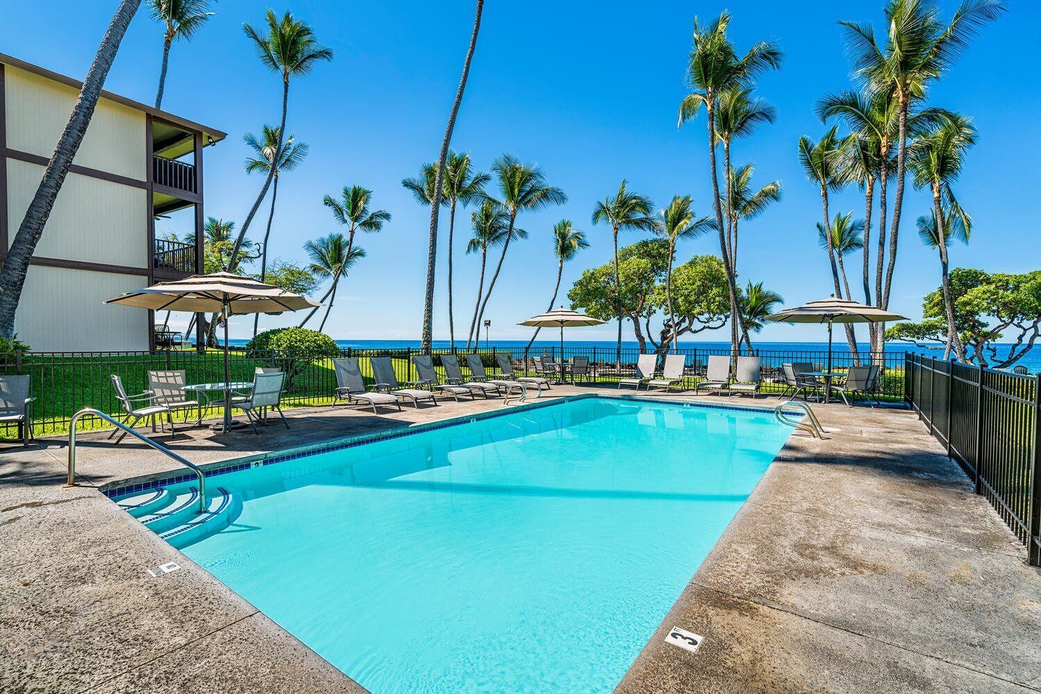 A clear blue pool with lounge chairs and umbrellas, surrounded by tall palm trees and a view of the ocean.