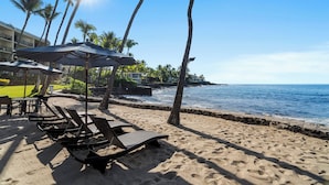 A beachside hotel with sun loungers and umbrellas, palm trees, and a view of the ocean.