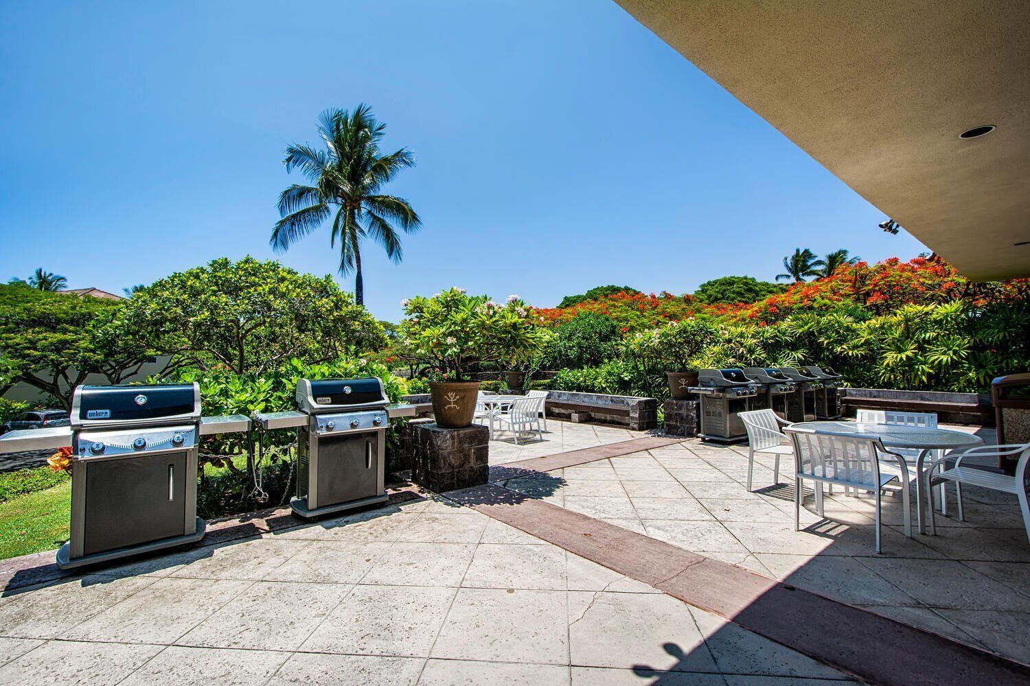 Un patio al aire libre con varias parrillas, mobiliario exterior y abundante vegetación.