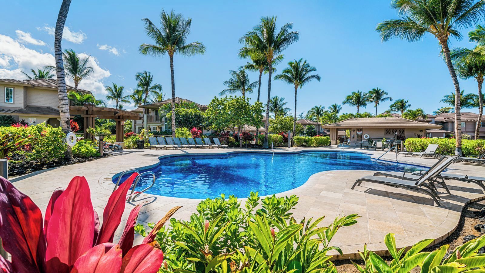 A swimming pool surrounded by palm trees and lounge chairs, with a clear blue sky above.
