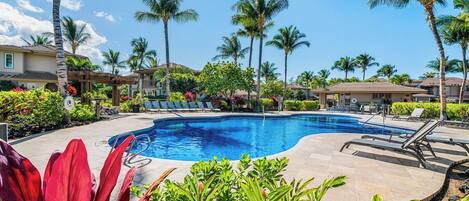 A swimming pool surrounded by palm trees and lounge chairs, with a clear blue sky above.