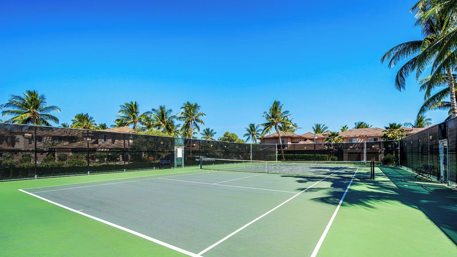 Ein Tennisplatz mit grüner Belag, umgeben von einem Zaun und Palmen.