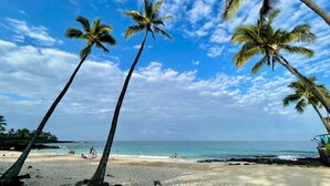 Una playa con palmeras, cielos despejados y mar tranquilo.