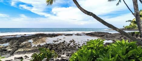 Una playa rocosa con palmeras y olas del océano.